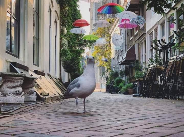 Appartement De Croone ミデルブルグ エクステリア 写真